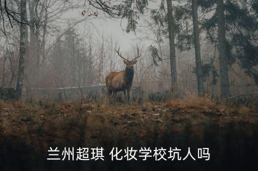 兰州超琪 化妆学校坑人吗