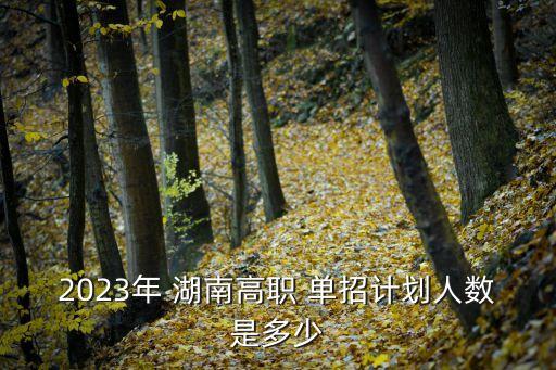 2023年 湖南高职 单招计划人数是多少