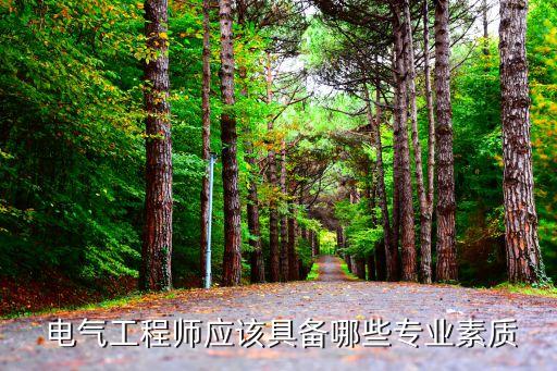  电气工程师应该具备哪些专业素质