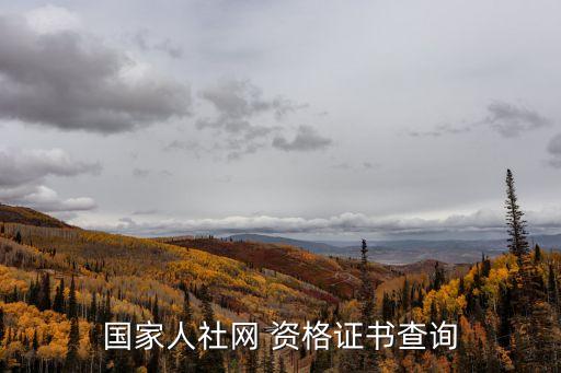 国家人社网 资格证书查询