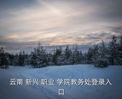 新兴职业学院在哪里,云南新兴职业学院女生宿舍