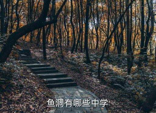 鱼洞有哪些中学