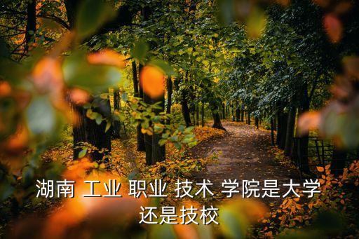 湖南 工业 职业 技术 学院是大学还是技校