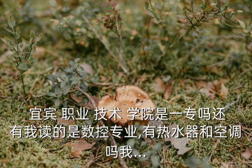 宜宾职业技术学院几专