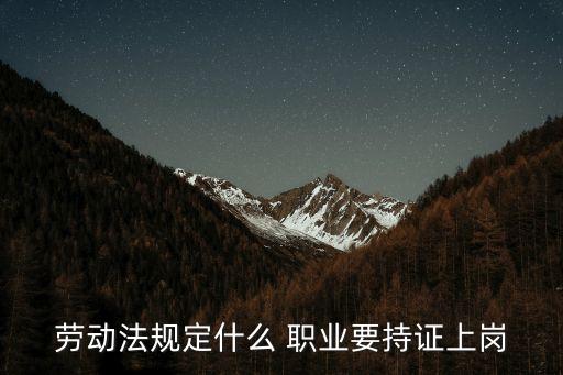 砌筑工 职业标准情况