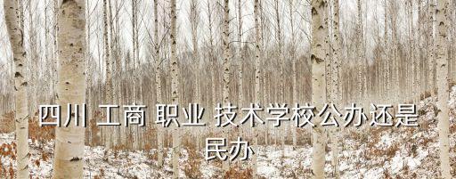 四川省工商职业技术学院要修了吗,四川工商职业技术学院专升本对口学校