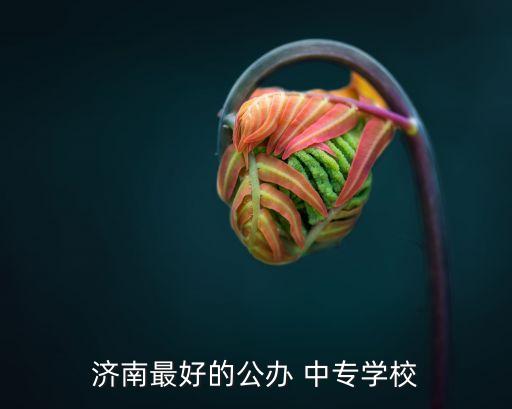 济南最好的公办 中专学校
