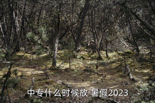 中专什么时候放 暑假2023