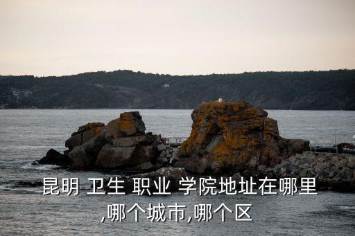  昆明 卫生 职业 学院地址在哪里,哪个城市,哪个区