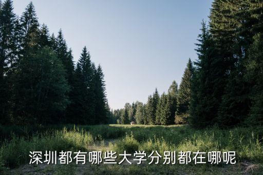  深圳都有哪些大学分别都在哪呢