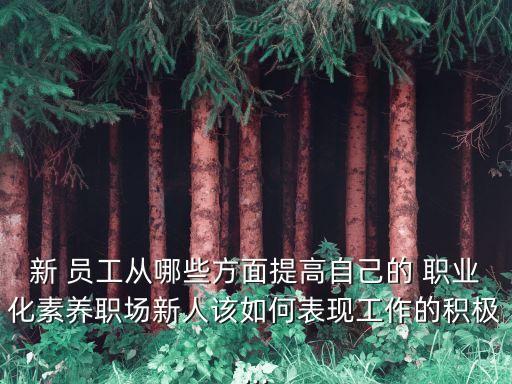 员工职业化养成与塑造,员工的职业化素养塑造过程中