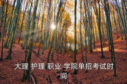  大理 护理 职业 学院单招考试时间