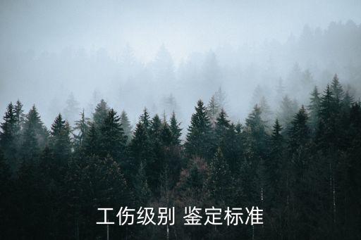 工伤级别 鉴定标准