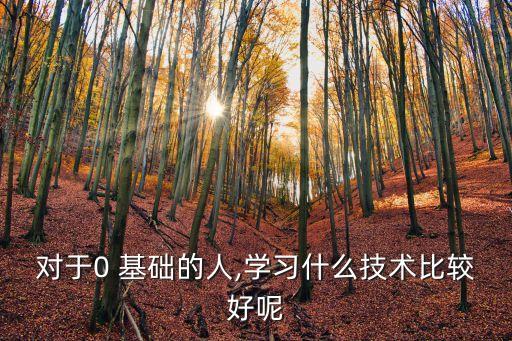 零基础学职业