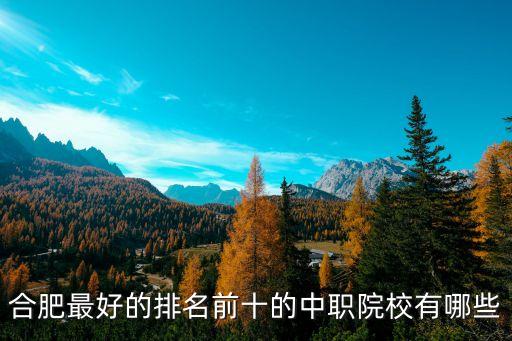 合肥最好的排名前十的中职院校有哪些