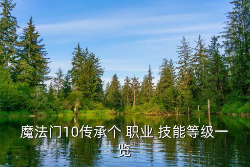 魔法门10传承个 职业 技能等级一览
