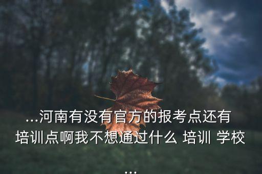 ...河南有没有官方的报考点还有 培训点啊我不想通过什么 培训 学校...