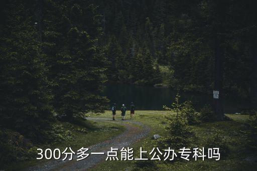 300分多一点能上公办专科吗