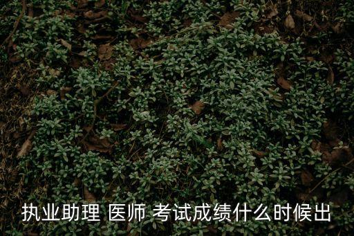 执业助理 医师 考试成绩什么时候出