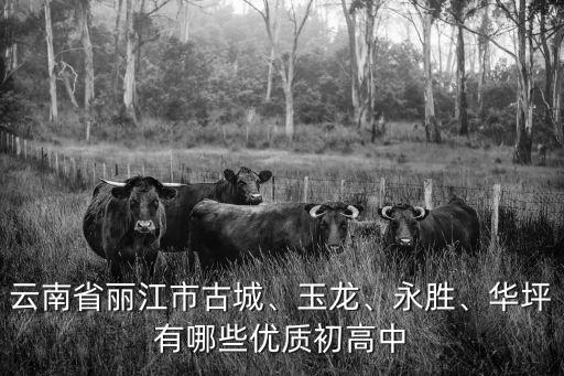 云南省丽江市古城、玉龙、永胜、华坪有哪些优质初高中