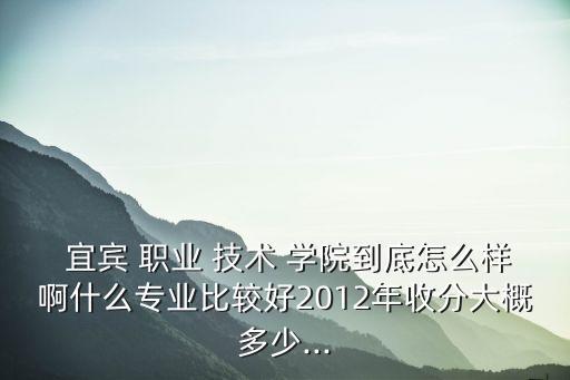  宜宾 职业 技术 学院到底怎么样啊什么专业比较好2012年收分大概多少...