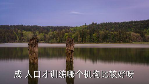 成 人口才训练哪个机构比较好呀