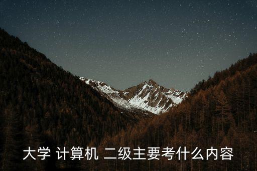 大学 计算机 二级主要考什么内容