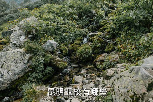  昆明卫校有哪些