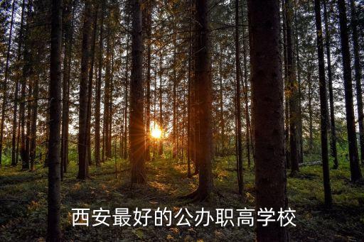 西安职业高中有哪些好,西安重点职业高中有哪些学校