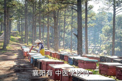 襄阳有 中医学校吗