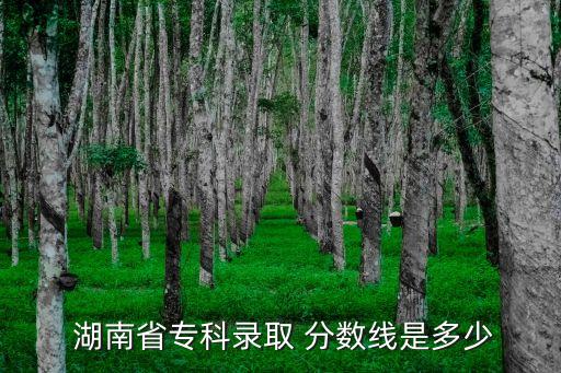  湖南省专科录取 分数线是多少