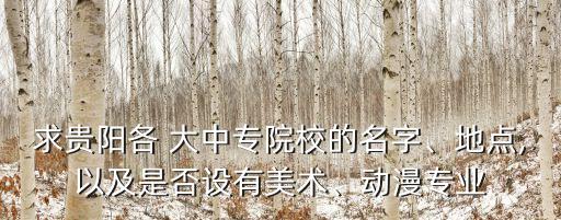 求贵阳各 大中专院校的名字、地点,以及是否设有美术、动漫专业
