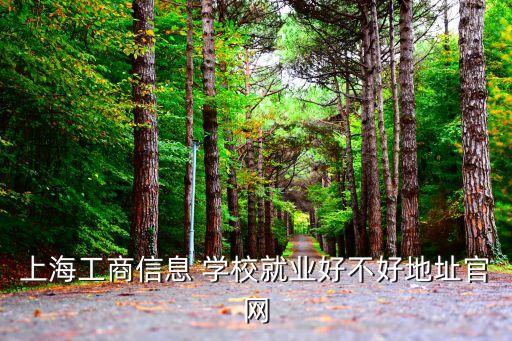 上海工商信息 学校就业好不好地址官网